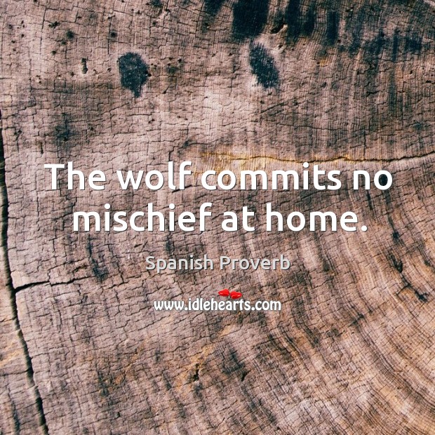The wolf commits no mischief at home. Image