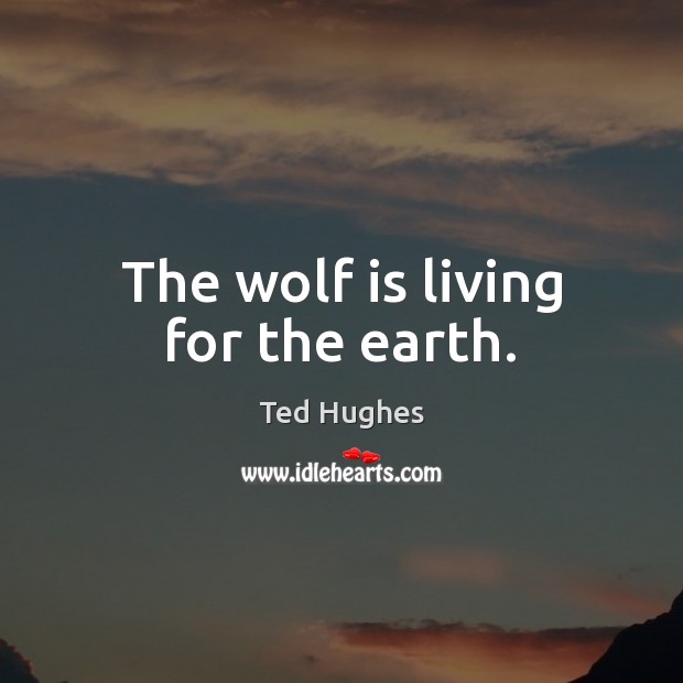 The wolf is living for the earth. Ted Hughes Picture Quote