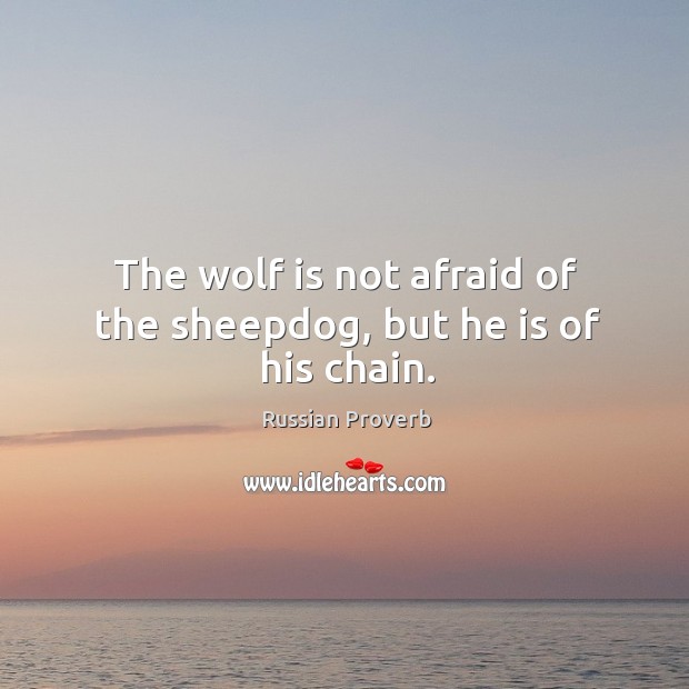 The wolf is not afraid of the sheepdog, but he is of his chain. Russian Proverbs Image