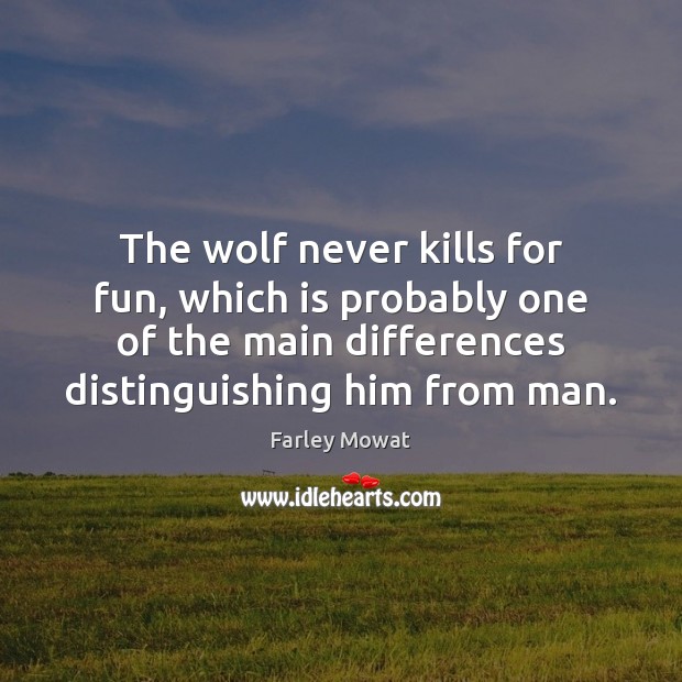 The wolf never kills for fun, which is probably one of the Image
