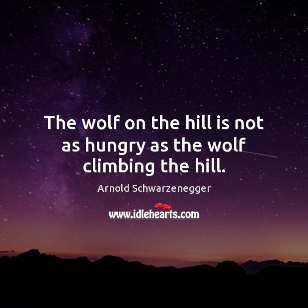 The wolf on the hill is not as hungry as the wolf climbing the hill. Image