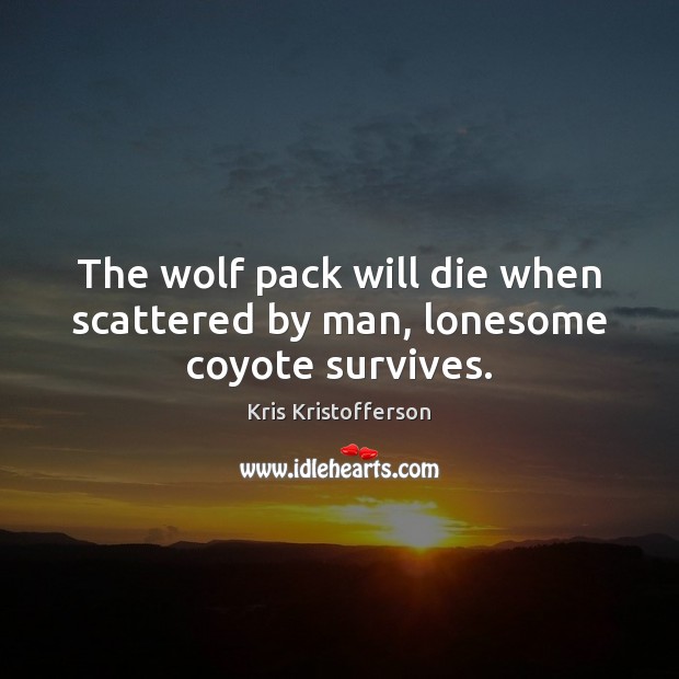 The wolf pack will die when scattered by man, lonesome coyote survives. Image