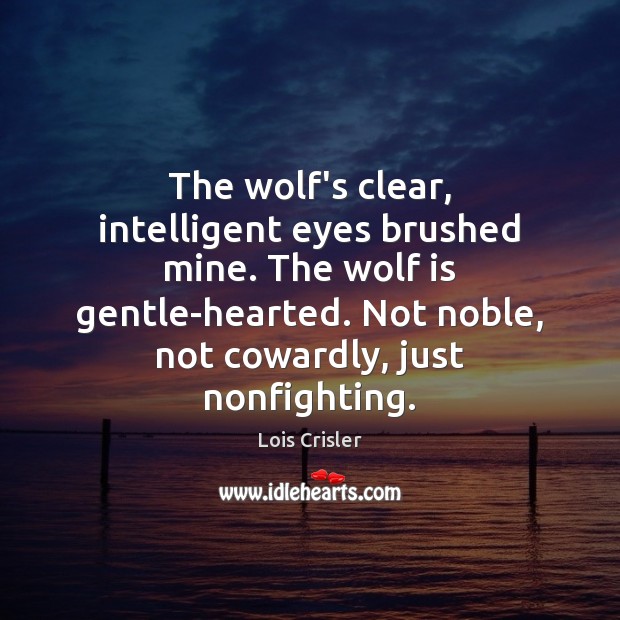 The wolf’s clear, intelligent eyes brushed mine. The wolf is gentle-hearted. Not Image