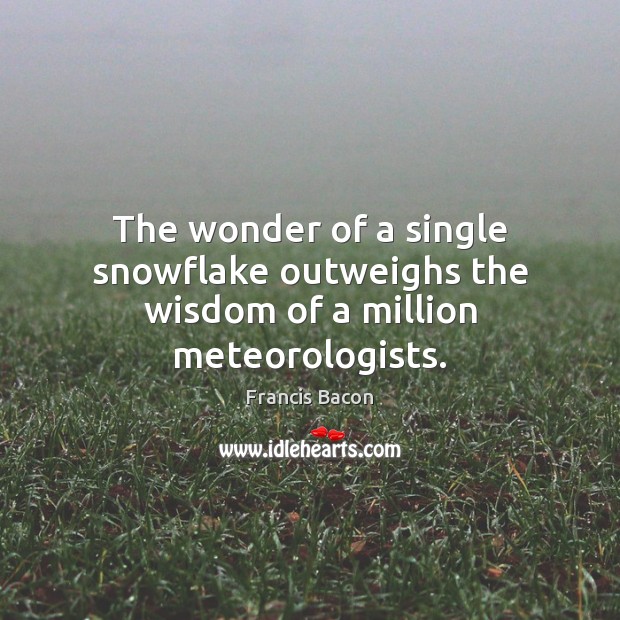 The wonder of a single snowflake outweighs the wisdom of a million meteorologists. Francis Bacon Picture Quote