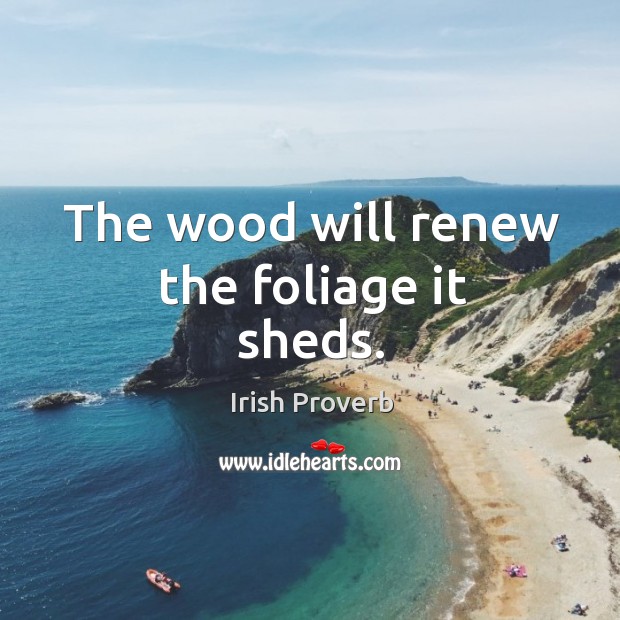 The wood will renew the foliage it sheds. Irish Proverbs Image