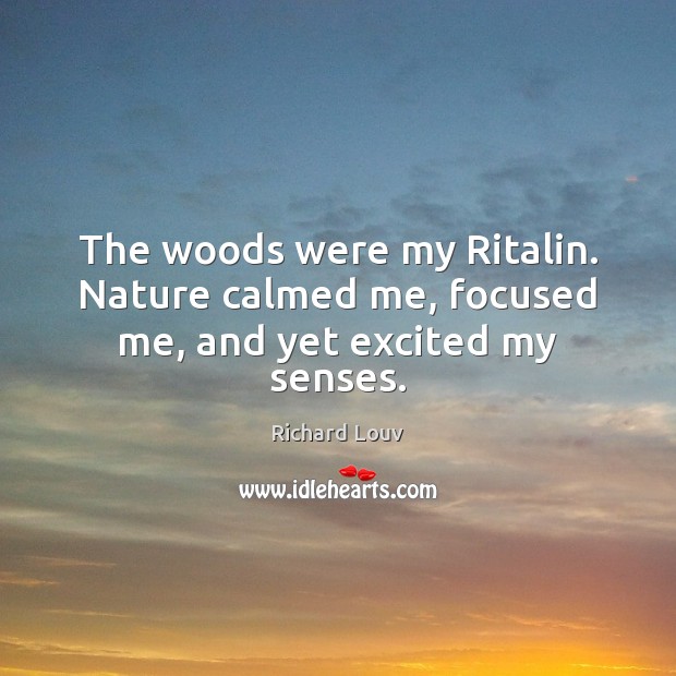 The woods were my Ritalin. Nature calmed me, focused me, and yet excited my senses. Richard Louv Picture Quote