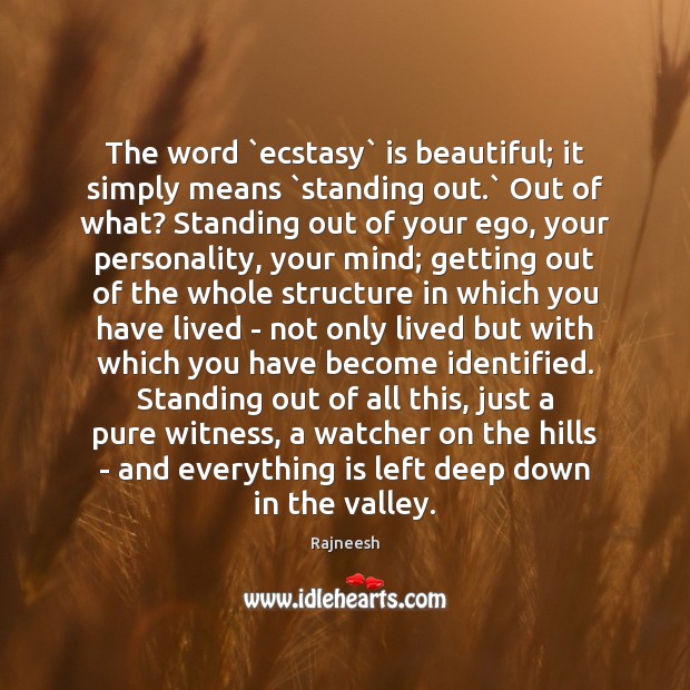 Ecstacy meaning