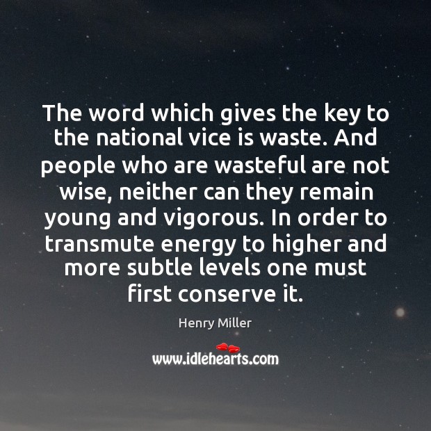 The word which gives the key to the national vice is waste. Henry Miller Picture Quote