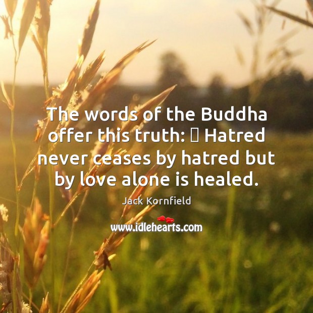 The words of the Buddha offer this truth: ∼ Hatred never ceases by Jack Kornfield Picture Quote