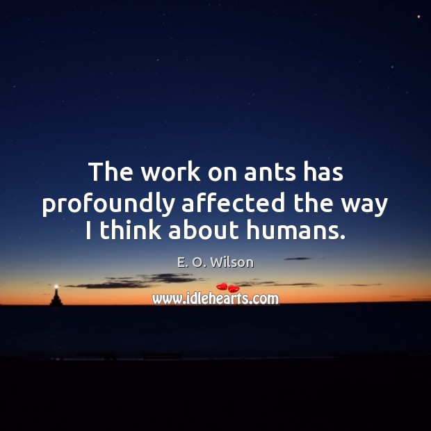 The work on ants has profoundly affected the way I think about humans. E. O. Wilson Picture Quote
