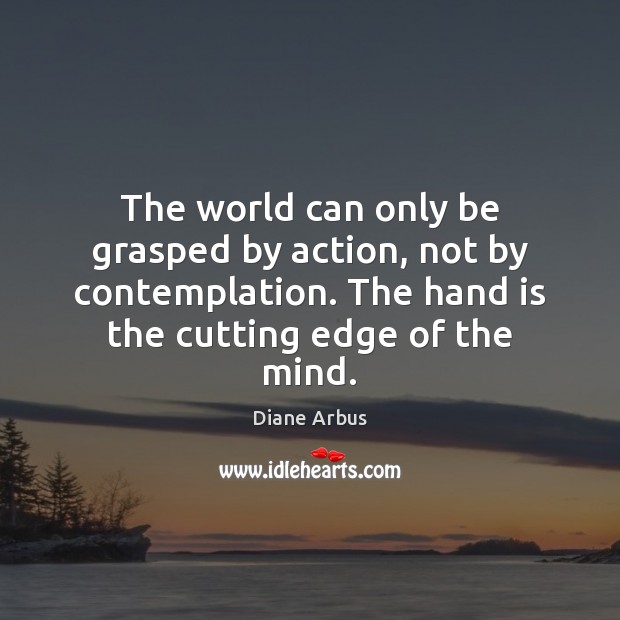 The world can only be grasped by action, not by contemplation. The Image