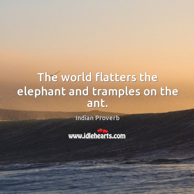 The world flatters the elephant and tramples on the ant. Image