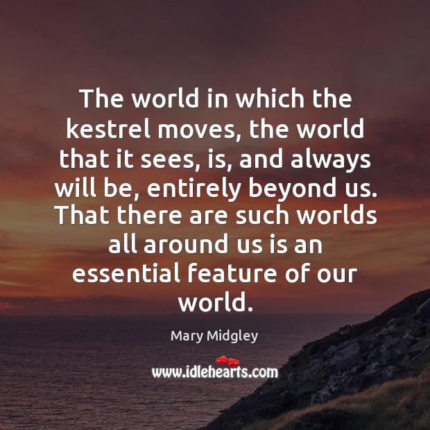 The world in which the kestrel moves, the world that it sees, Mary Midgley Picture Quote
