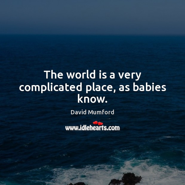 The world is a very complicated place, as babies know. David Mumford Picture Quote