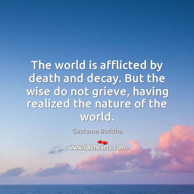 The world is afflicted by death and decay. But the wise do Gautama Buddha Picture Quote