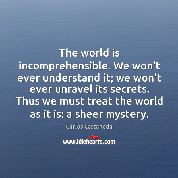 The world is incomprehensible. We won’t ever understand it; we won’t ever Carlos Castaneda Picture Quote