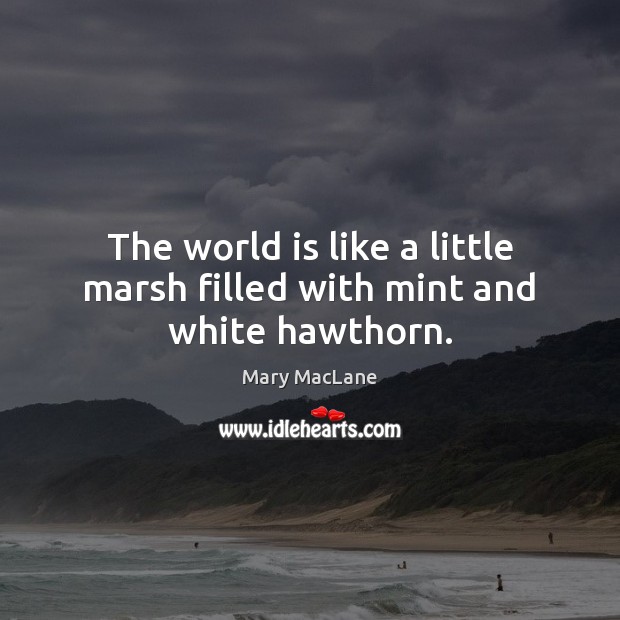 The world is like a little marsh filled with mint and white hawthorn. Mary MacLane Picture Quote