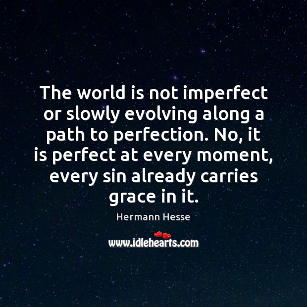 The world is not imperfect or slowly evolving along a path to Image