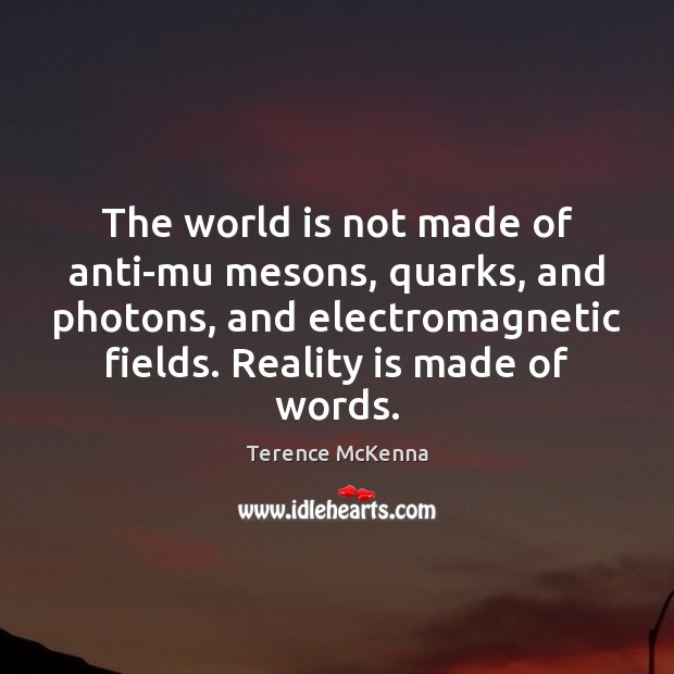 The world is not made of anti-mu mesons, quarks, and photons, and Terence McKenna Picture Quote