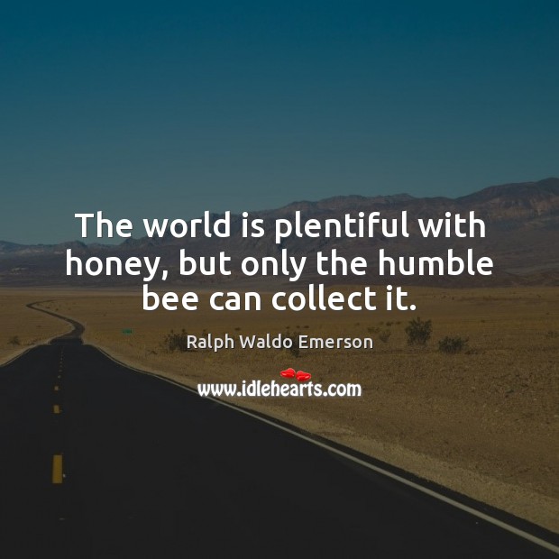 The world is plentiful with honey, but only the humble bee can collect it. Image