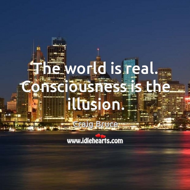 The world is real. Consciousness is the illusion. Craig Bruce Picture Quote