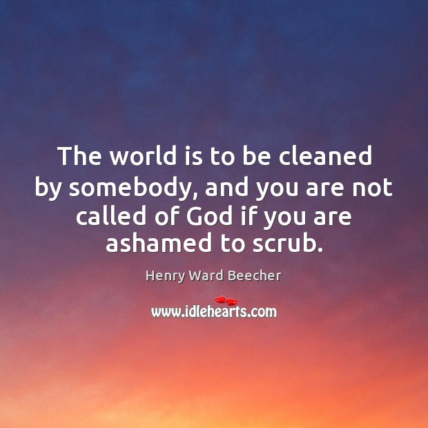 The world is to be cleaned by somebody, and you are not Henry Ward Beecher Picture Quote