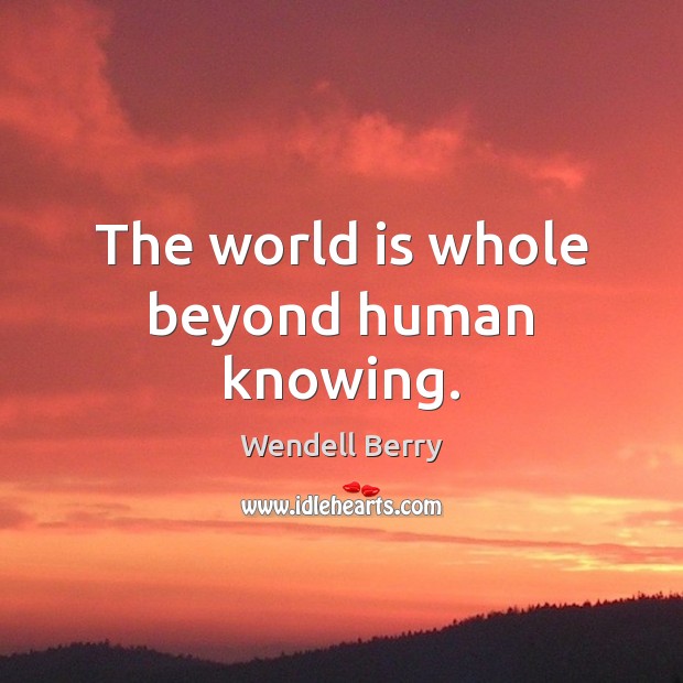 The world is whole beyond human knowing. Wendell Berry Picture Quote