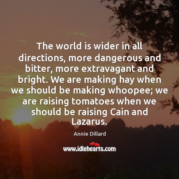 The world is wider in all directions, more dangerous and bitter, more Annie Dillard Picture Quote