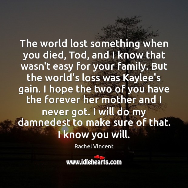 The world lost something when you died, Tod, and I know that Rachel Vincent Picture Quote