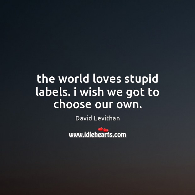 The world loves stupid labels. i wish we got to choose our own. David Levithan Picture Quote