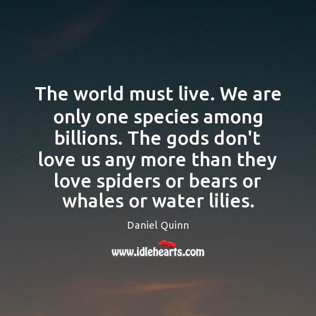 The world must live. We are only one species among billions. The Daniel Quinn Picture Quote