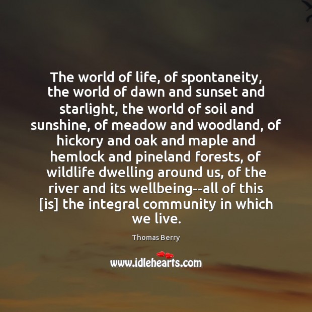 The world of life, of spontaneity, the world of dawn and sunset Image