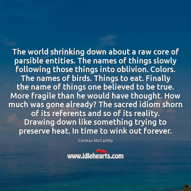 The world shrinking down about a raw core of parsible entities. The Cormac McCarthy Picture Quote