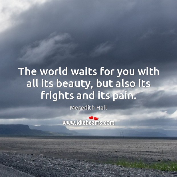The world waits for you with all its beauty, but also its frights and its pain. Meredith Hall Picture Quote