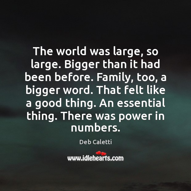 The world was large, so large. Bigger than it had been before. Deb Caletti Picture Quote