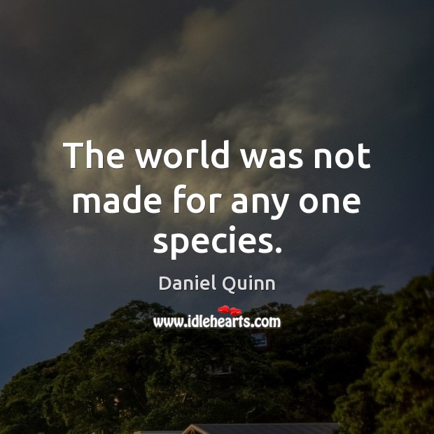 The world was not made for any one species. Daniel Quinn Picture Quote