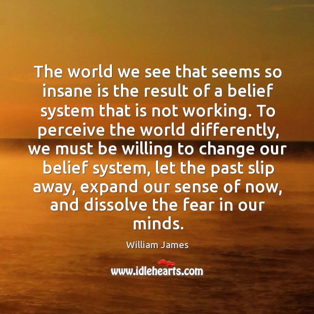 The world we see that seems so insane is the result of a belief system that is not working. William James Picture Quote