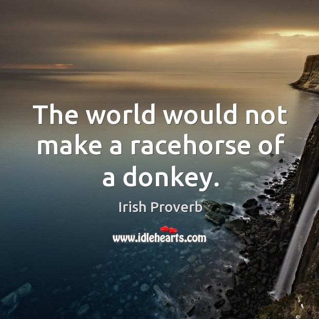 The world would not make a racehorse of a donkey. Irish Proverbs Image