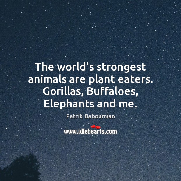 The world’s strongest animals are plant eaters. Gorillas, Buffaloes, Elephants and me. Patrik Baboumian Picture Quote