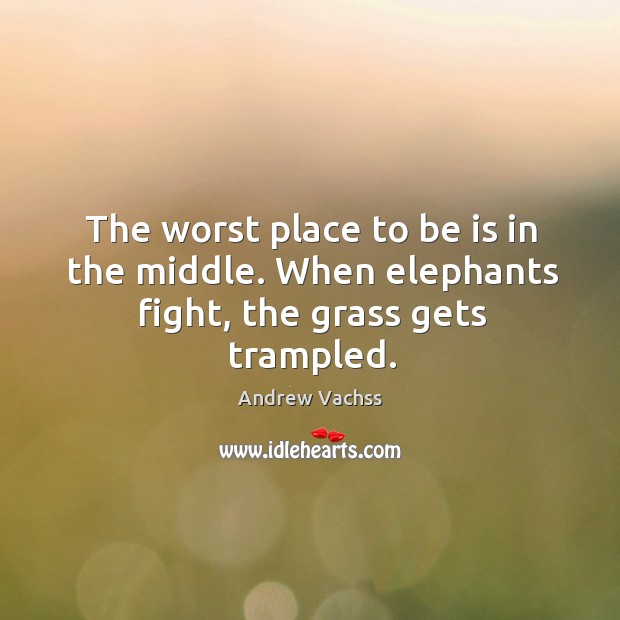 The worst place to be is in the middle. When elephants fight, the grass gets trampled. Andrew Vachss Picture Quote