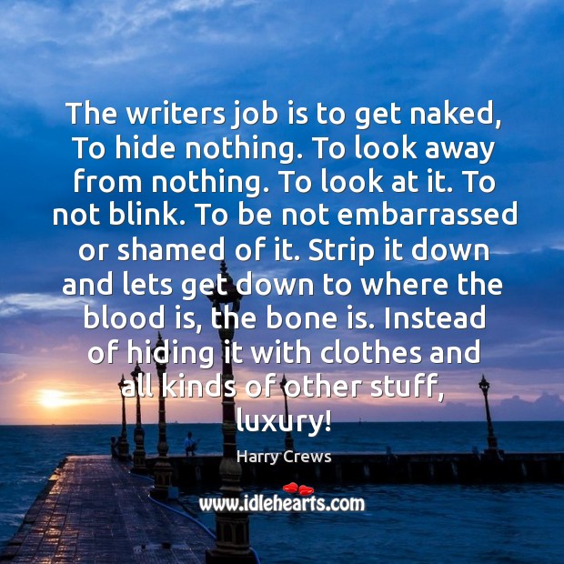The writers job is to get naked, To hide nothing. To look Image