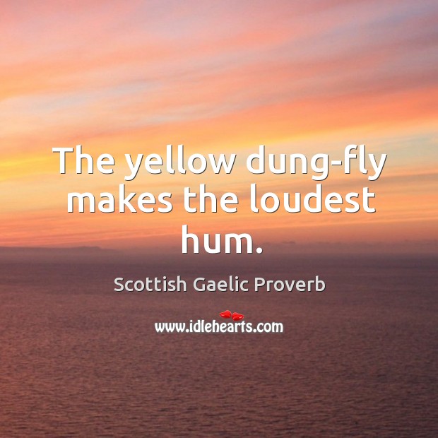 The yellow dung-fly makes the loudest hum. Scottish Gaelic Proverbs Image