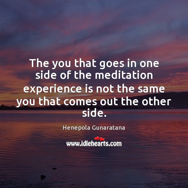 The you that goes in one side of the meditation experience is Henepola Gunaratana Picture Quote