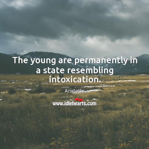 The young are permanently in a state resembling intoxication. Aristotle Picture Quote