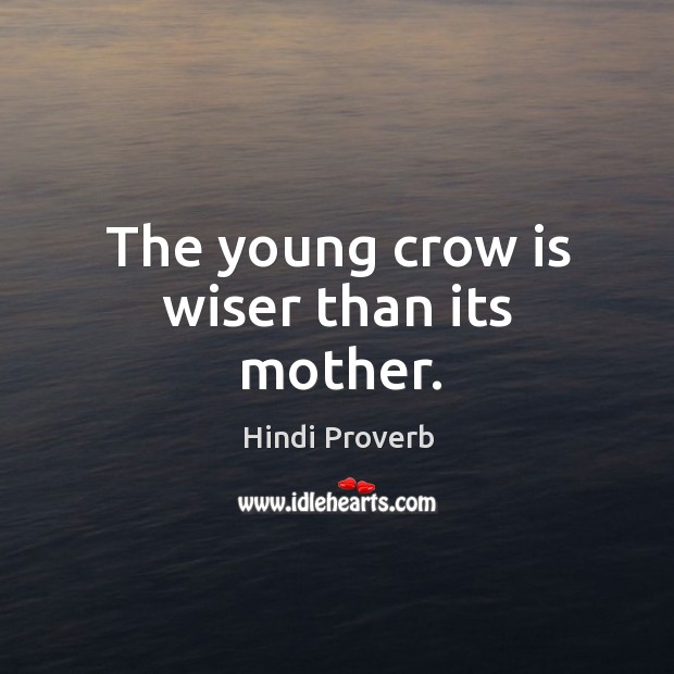 The young crow is wiser than its mother. Image