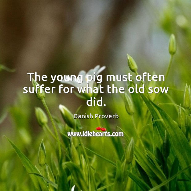 The young pig must often suffer for what the old sow did. Danish Proverbs Image