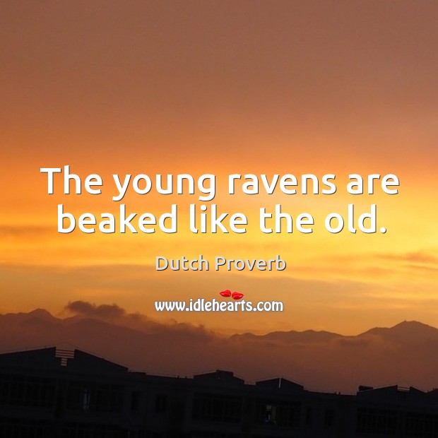 The young ravens are beaked like the old. Dutch Proverbs Image