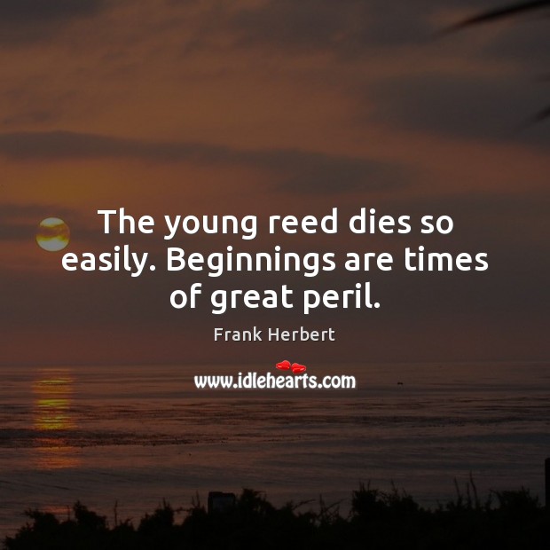 The young reed dies so easily. Beginnings are times of great peril. Frank Herbert Picture Quote
