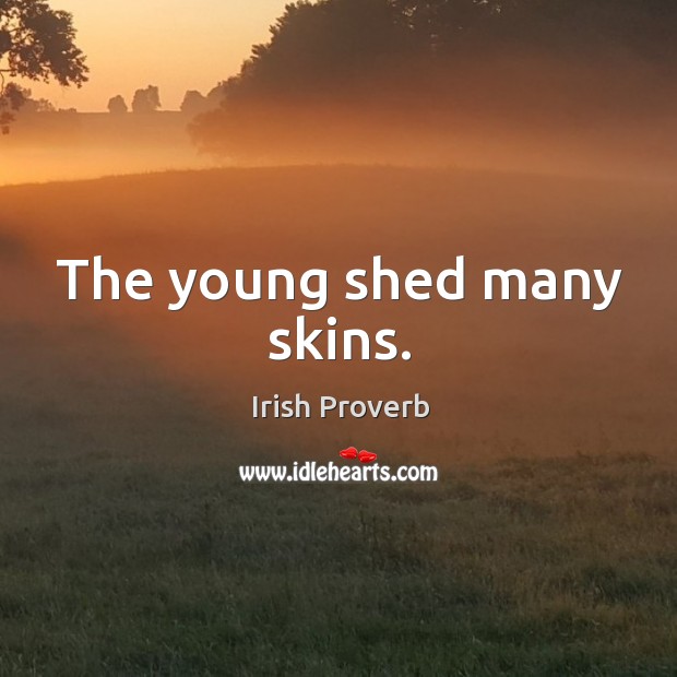 The young shed many skins. Irish Proverbs Image