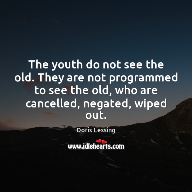 The youth do not see the old. They are not programmed to Doris Lessing Picture Quote